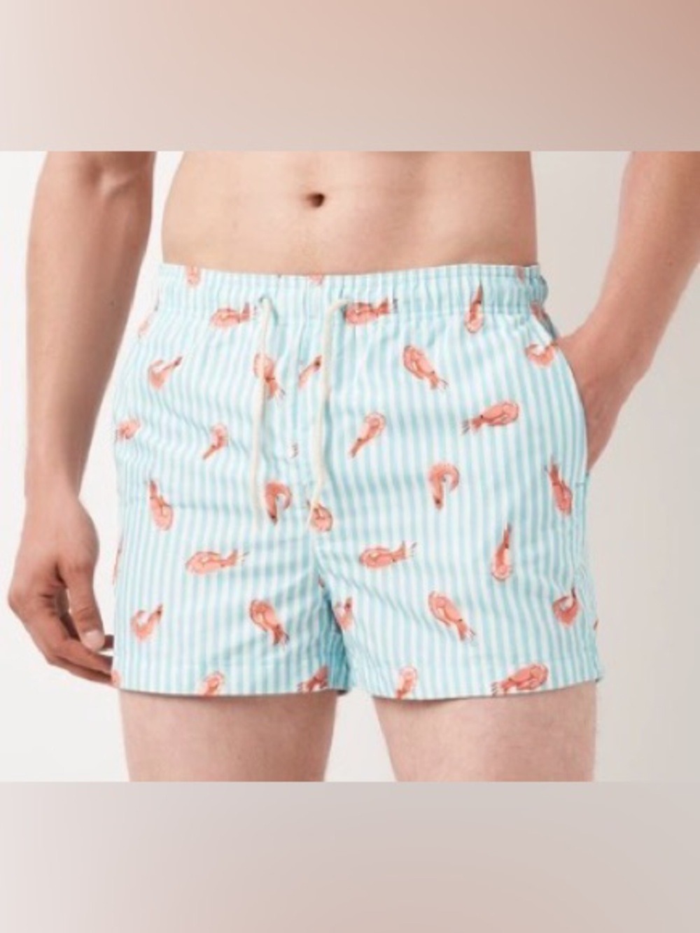 H&M Striped Aqua Swim Shorts with Coral Shrimp Print - Size Large